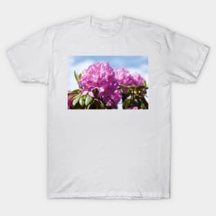 Purple rhododendron flower T-Shirt